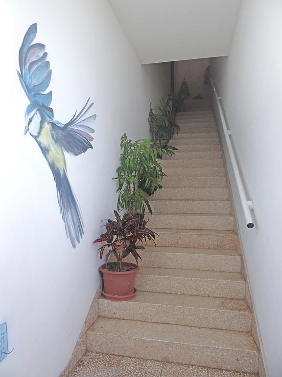 Apartamentos Dominguez Calera Екстер'єр фото